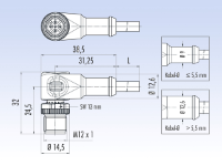 M12_Angled_Male